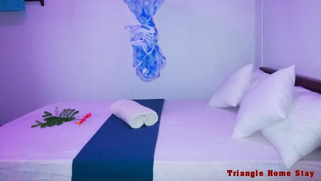 Triangle Home Stay ダンブッラ エクステリア 写真